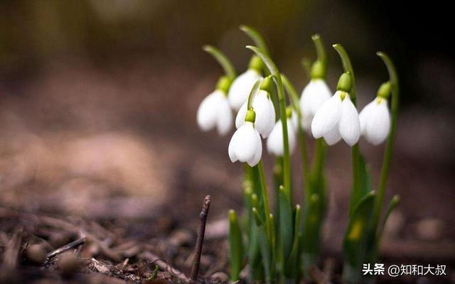 女人简单气质一句话，女人简单气质一句话早安语（一个女人最好的风水：一句话）
