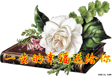 唯美520祝福话语，520祝福情话（非常唯美暖心的简短问候语）