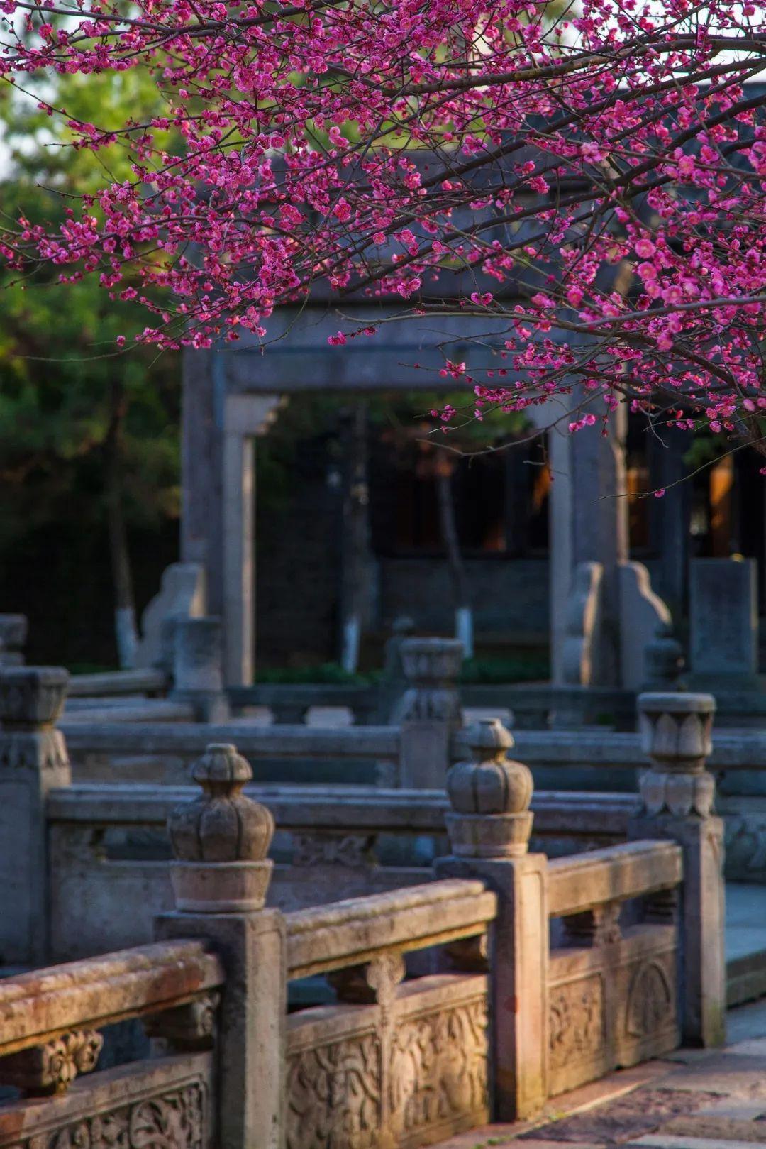 乌镇有什么好玩的，乌镇有什么好玩的景点（乌镇的12种打卡方式）