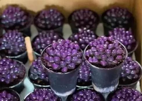 灵魂相似的人一旦相逢，灵魂相似的人一旦相逢是知心朋友（总有一天会在路上相逢）