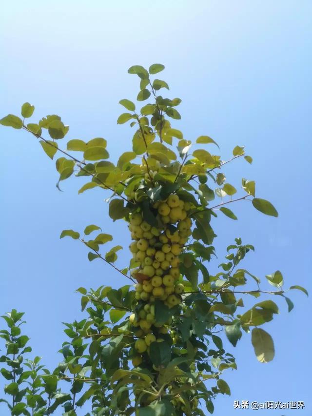 感谢老板对员工的厚爱图片，感谢老板比较真诚图片（奶奶，我想您了 文/徐 烨）