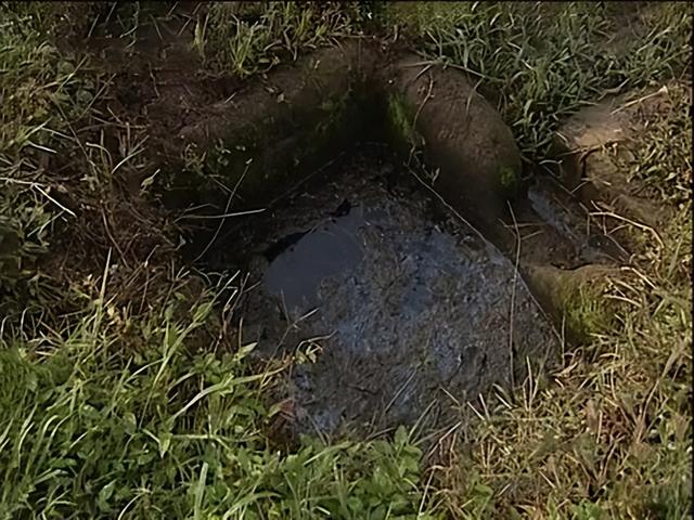 水沉香的功效 具体有哪些作用呢，水沉香的功效（四川古村发现两口怪井）