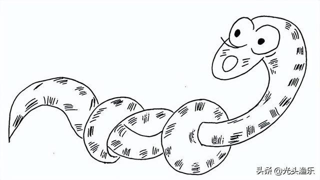 蚺和蟒的区别，2020蟒蛇把一家5口人吃了（老话讲：大蛇为蟒，巨蟒为蚺）