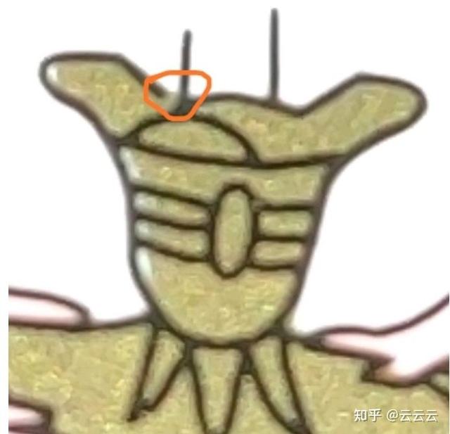 贵的部首是什么偏旁，贵的偏旁部首是什么意思（真假茅台酒的三十种鉴别方法）