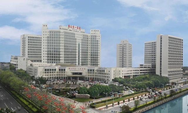 广东珠三角核心区，中央选定佛山建珠三角西翼中心城市