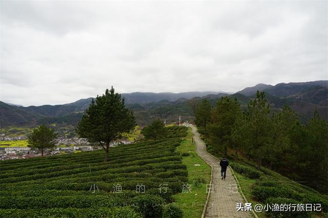 万亩油菜花海游玩攻略，奔赴川陕交界的巴山秘境