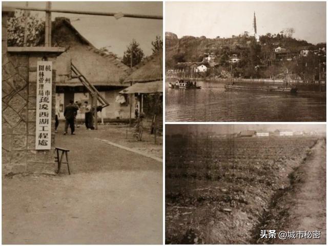 八载图片保护有哪些，八载图片保护怎么设置（西湖保护70年）