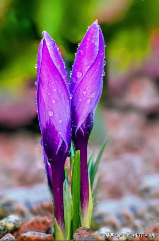 美美美的，美美美的表情包（壁纸美图）