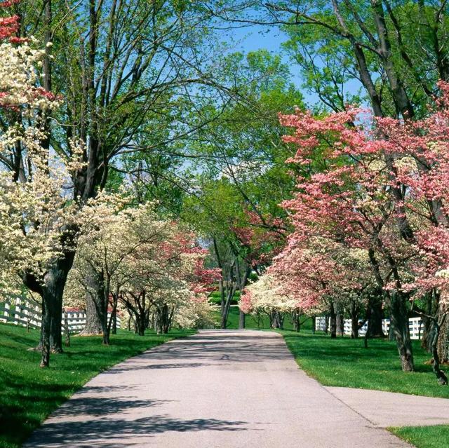 图片，微信头像，图片（清新多彩自然美景）