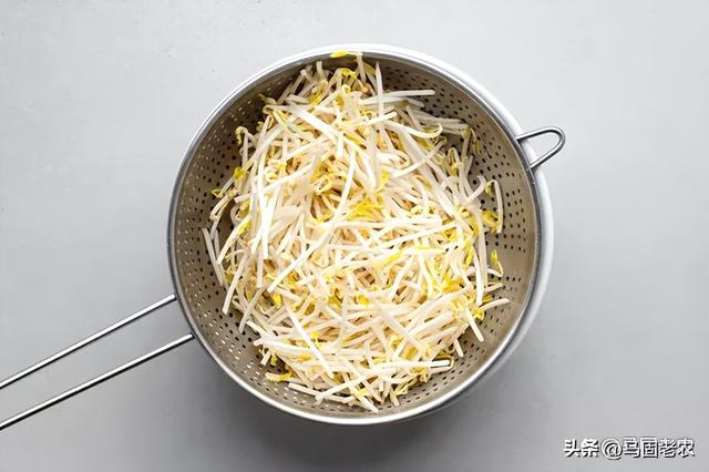 炒豆芽怎么做好吃，如何做绿豆芽的步骤（村里人都爱吃的炒豆芽）