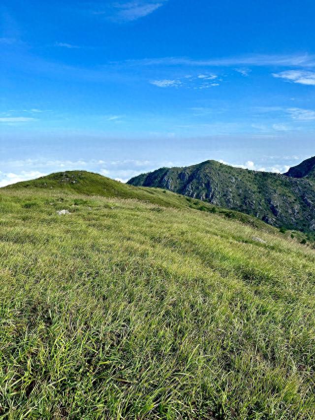 福建版武功山！！很少人知道的天然草场~