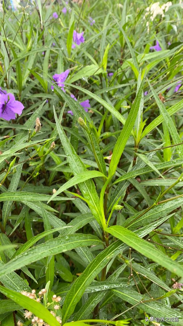 文字图片/ 该为自己改变了.，文字图片在线制作（只要我开始改变，一切都会改变）