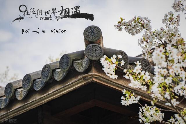 无法挽回的句子，无法挽回的句子图片（再多的后悔与道歉都挽回不了最初的心……）