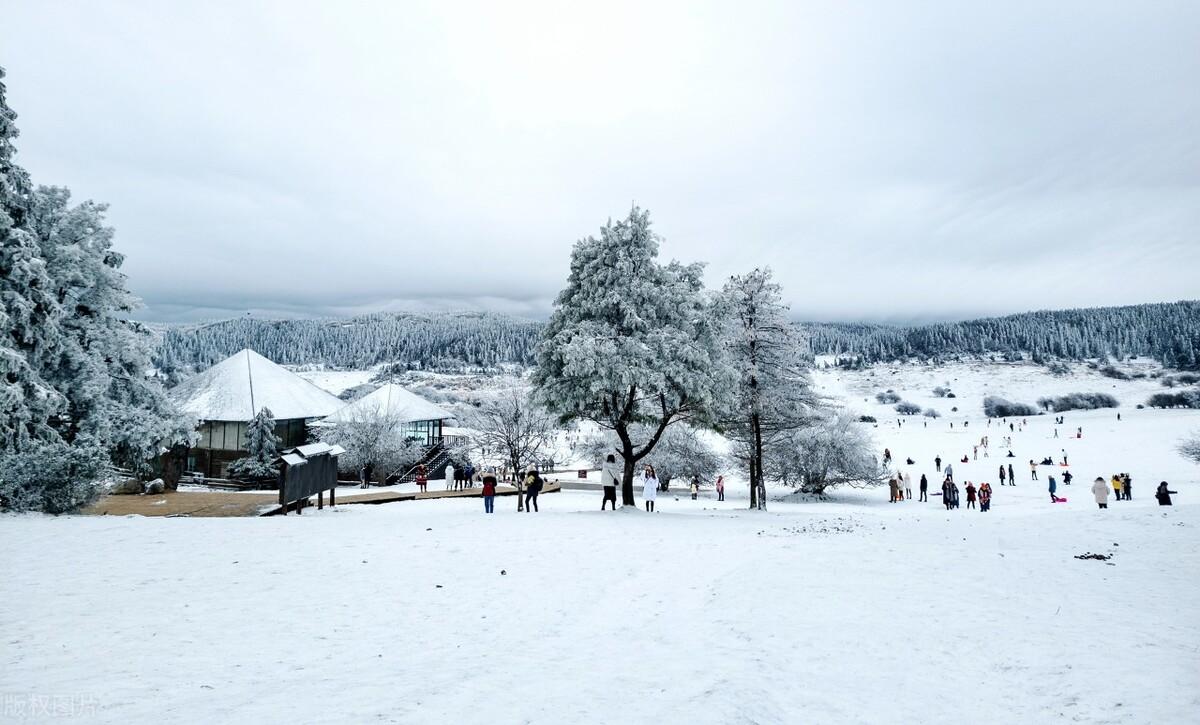 重庆武隆仙女山冬季二日游攻略之路线