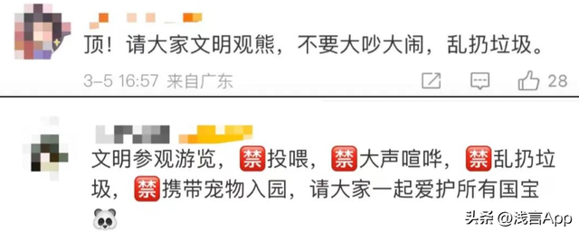 向熊猫福菀泼水，向熊猫福菀泼水3游客身份未确定（残疾熊猫宝宝遭泼水，拳头硬了）