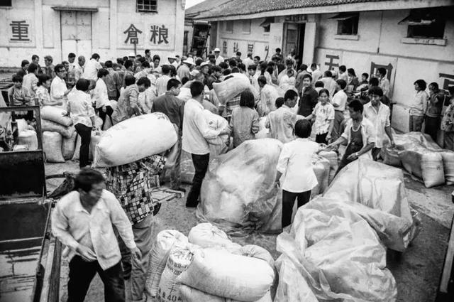 农村取消公粮是哪一年，农民什么时候取消交公粮（5060年代农村要交公粮）