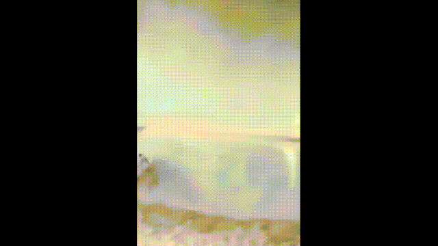 鹿血酒多少钱一瓶，鹿血酒一瓶500ml要多少钱（这是人们认为它是仙兽真正的原因）