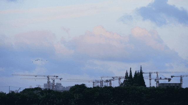 复旦大学哲学系，复旦大学哲学系就业前景如何（百万年轻人追捧：说到了心坎上）