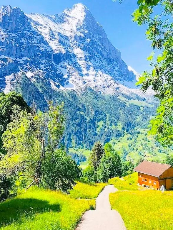 不如名师指路前面一句是什么，不如名师指路前面一句是什么成语（就是看透而不说透）