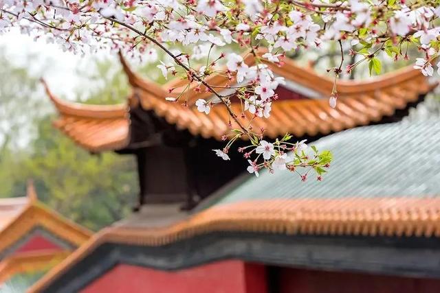 关于春分的古诗词，关于春分的古诗词是四句（人间万物皆恰好）