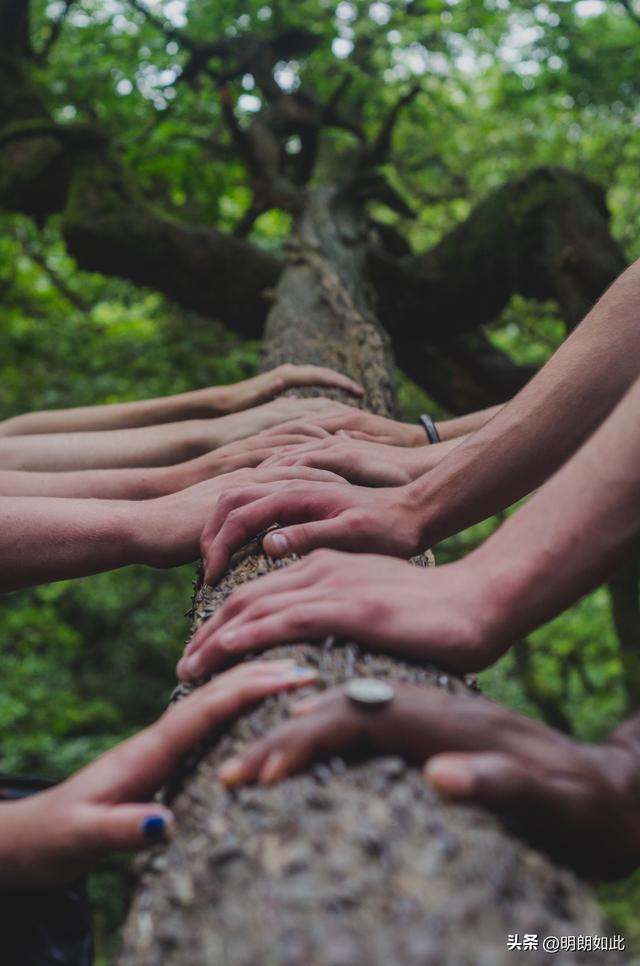 讨好型人格的形成原因，讨好型人格的形成原因他们在家庭中（心理学：对自己重视不够的人）