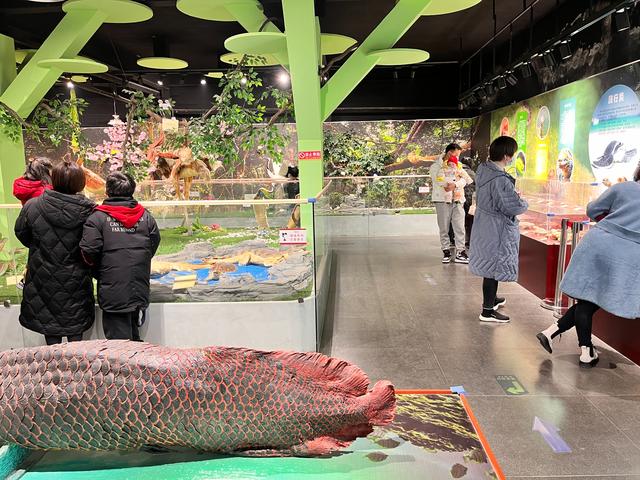 郑州周边免费景点，郑州最近免费旅游景点大全（不出郑州的8个赏花遛娃地）