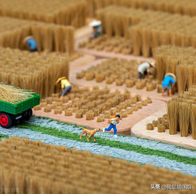 堂妹是哪边的亲属，堂妹是什么亲属关系（<二>--初识堂妹）