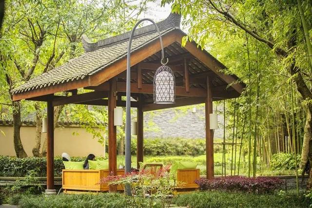 青城山旅游，青城山旅游图（赏千年银杏、观层林尽染、泡山间温泉......顶奢配置慢生活尽在青城山～）