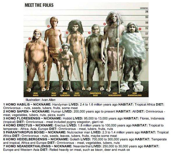 人为什么没有尾巴，为什么人没有尾巴（为什么人类的尾巴和体毛进化掉了）