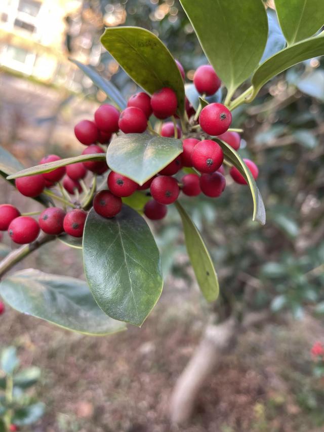 灵魂相似的人一旦相逢，灵魂相似的人一旦相逢是知心朋友（总有一天会在路上相逢）