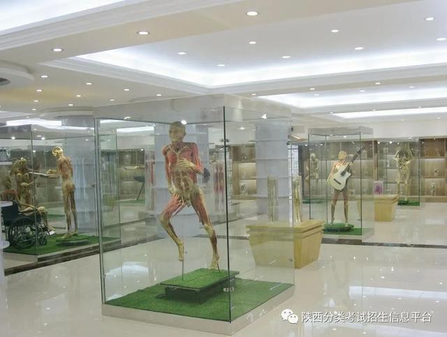 西安市所有五年制大专详细点，西安五年制大专有哪些（走进“省级示范院校”—西安医学高等专科学校）