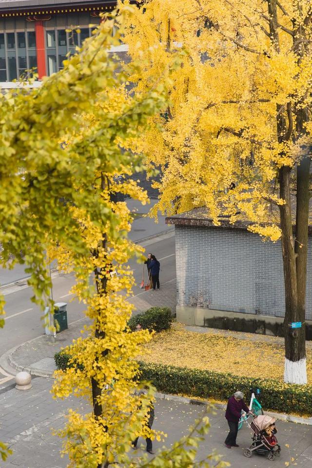 带你走一趟最美大学，中国最美的10所大学