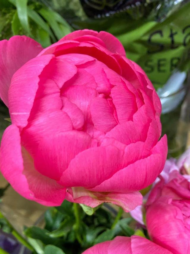 夸赞女人漂亮的句子，夸女人的美言佳句（女人如花，绚烂绽放，活出精彩）