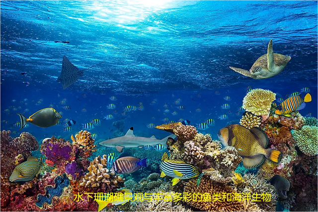 什么叫生物圈，什么是生物圈（了解生物圈的组成、影响因素和重要性）