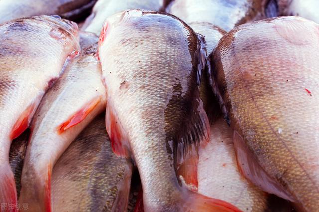 烤鱼用什么鱼最好，什么鱼做烤鱼好吃（错过了就要等一年）