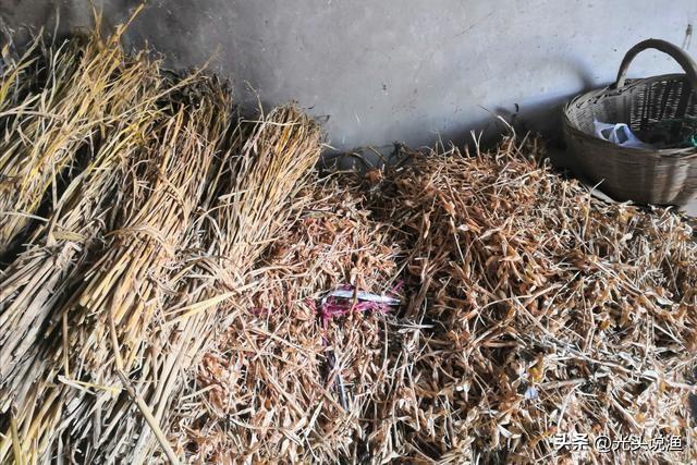 草木灰是什么肥料，草木灰是什么（农村人可能比专家更了解）