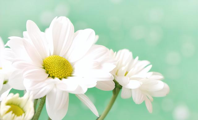 温柔的人是什么样的，性格温柔的女人是怎样的（温柔的人，很难让人不爱）