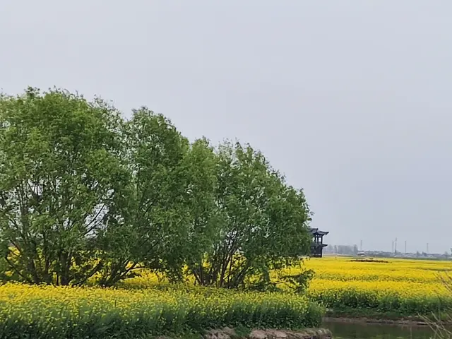 恻隐的意思是什么，论语里的怵惕恻隐是什么意思（赋予我们爱的能力——来自一堂语文课的深度思考）