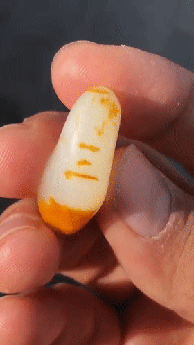 网上怎样出售奇石，网上怎样出售奇石视频（疯狂的象形籽市场）