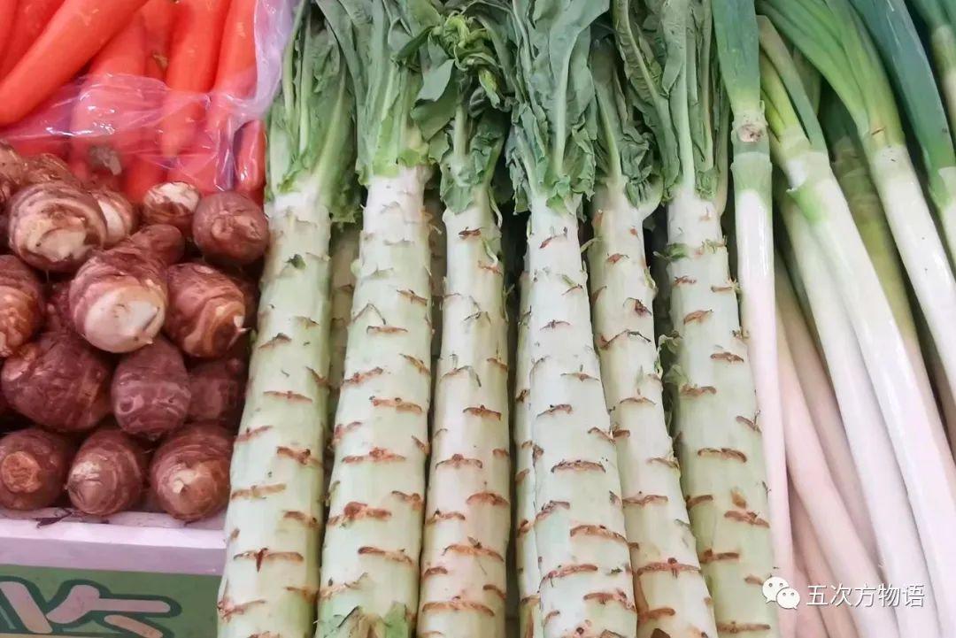 蔬菜的图片(茎菜类蔬菜大全) - 赤虎壹号