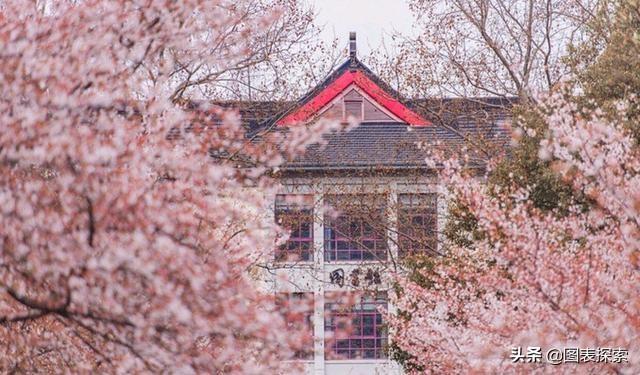 南京科技大学简介，南京科技大学简介和排名（曾是南京林业大学的目标）