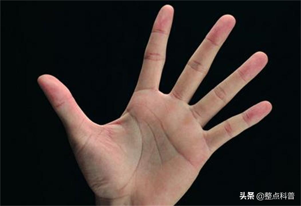 相學中雙手斷掌有何說法,男兒斷掌千斤兩 相學中雙手斷掌有何說法,男兒斷掌千斤兩