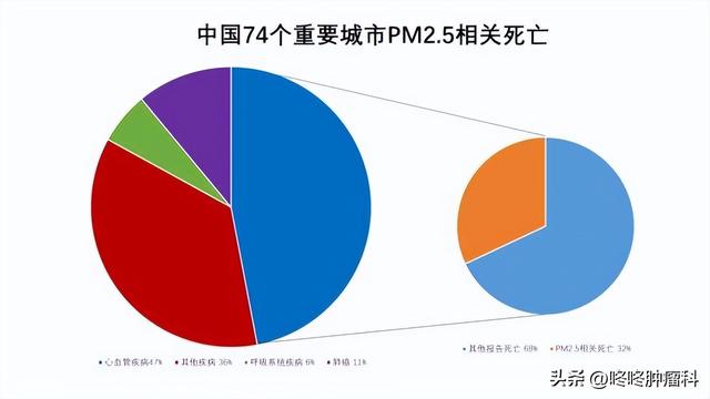 雾霾是什么原因造成的，雾霾是什么原因造成的视频（我们应该如何抵御雾霾）