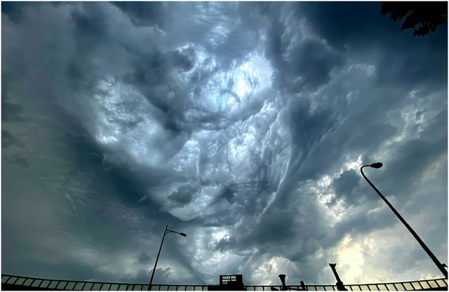 最恐怖的云，最恐怖的动物（河南出现神秘“糙面云”）