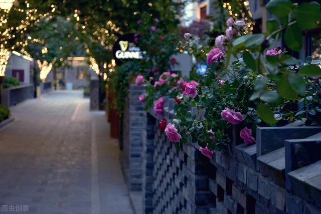 南京夜景哪里好看，南京市最美的夜景在哪里（南京这条街，值得一品再品）