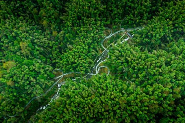 南昌梅岭旅游攻略 ，南昌梅岭旅游攻略路线（收下这份父亲节梅岭旅行攻略）