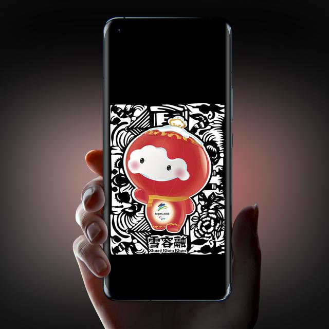 冰墩墩都有什么样的，冰墩墩高清壁纸（关于冰墩墩的介绍）