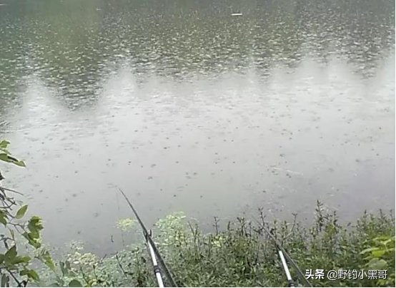 下雨天怎么钓鱼，下雨天怎么钓鱼比较好（入夏后不管新手还是老鸟）