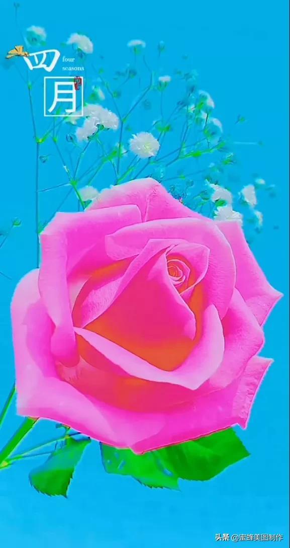 适合发心情的图片   赏图愉快哦:），关于发心情的图片（鲜艳欲滴的花朵）