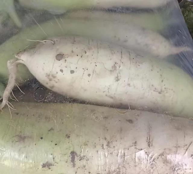 蔬菜价格一览表，农村4种蔬菜价格表（今日河南部分蔬菜最新价格）